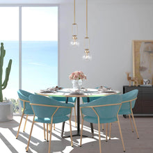 Pandia 1-Light Pendant Light