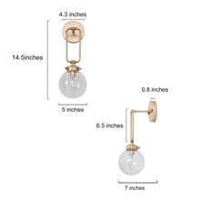 Pandia 1-light Wall Sconce with Globe Glass