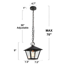 Notus 1-Light Lantern Outdoor Pendant Light
