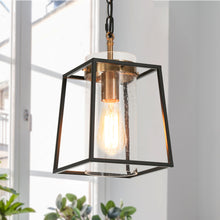 Agaue 1-Light Geometrical Pendant Light
