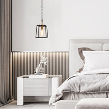 Agaue 1-Light Geometrical Pendant Light